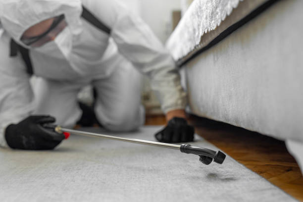 Professional Pest Control technician working in Clare County County, MI